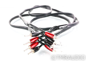 AudioQuest Rocket 44 PVC Speaker Cables; 6ft Pair