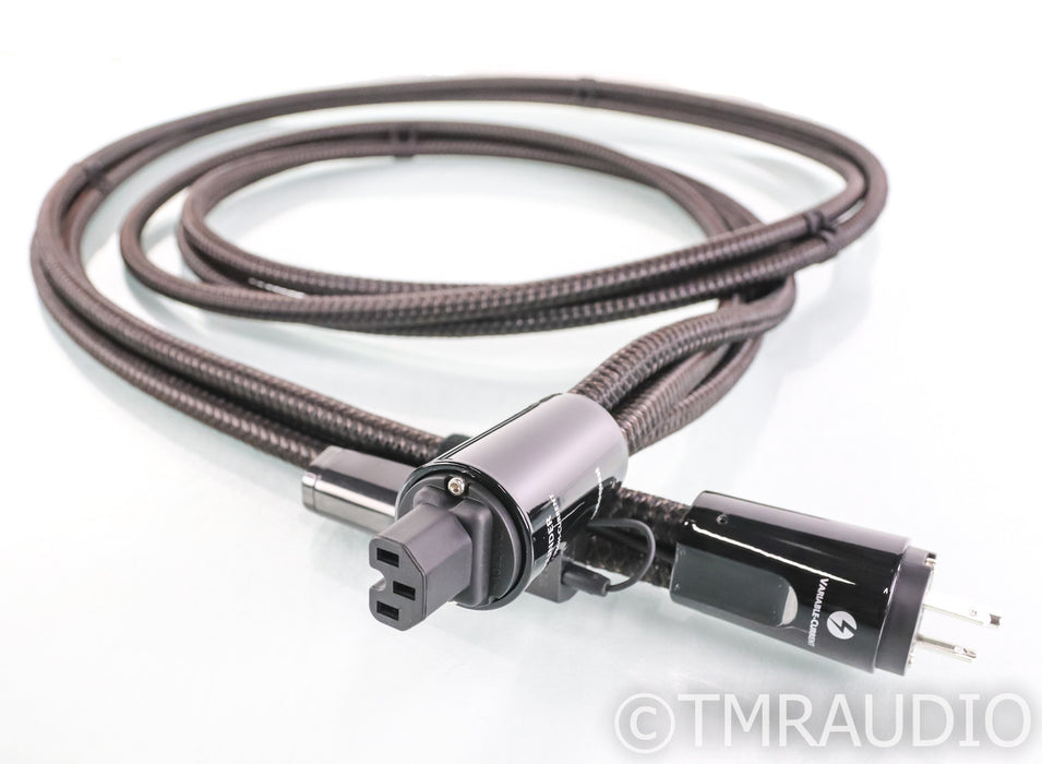 AudioQuest Thunder Variable Current Power Cable; 3m AC Cord; 72v DBS (Open Box)