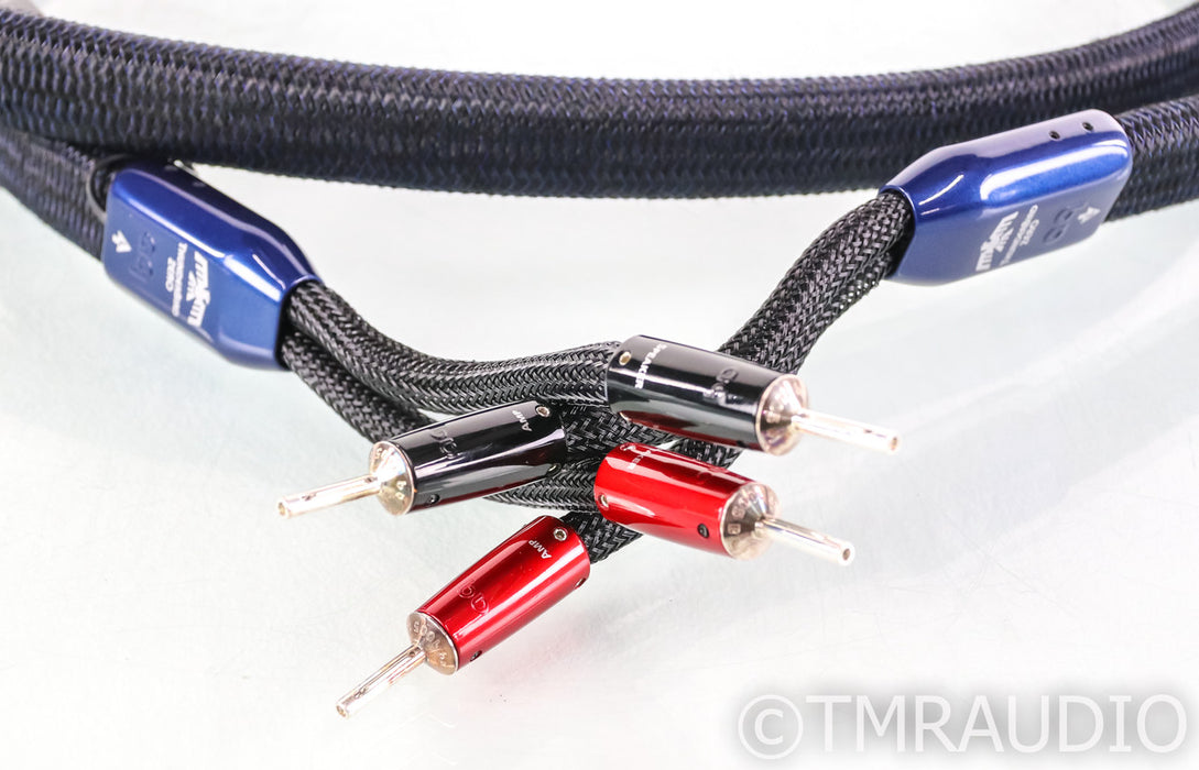 AudioQuest ThunderBird ZERO Speaker Cable; Single; 3m; 72v DBS