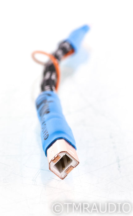 Curious Cable Evolved Regen Link USB Cable; 200mm Digital Cable