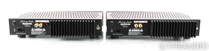 Herron Audio M1 Mono Power Amplifier; Pair; Silver; M-1