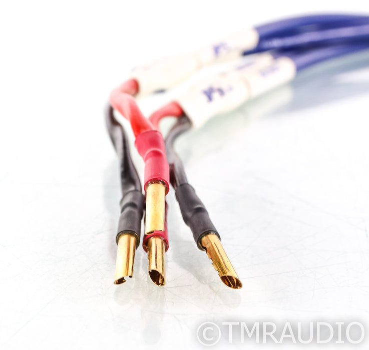 JPS Labs Ultra Conductor Dual Bi-Wire Speaker Cables; 6ft Pair