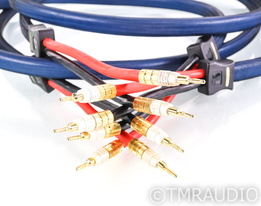 PS Audio xStream Statement Speaker Cables; 3m Pair; Spade & Banana Terminations