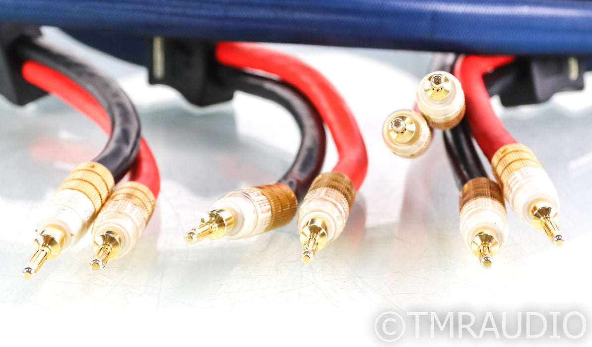 PS Audio xStream Statement Speaker Cables; 3m Pair; Spade & Banana Terminations
