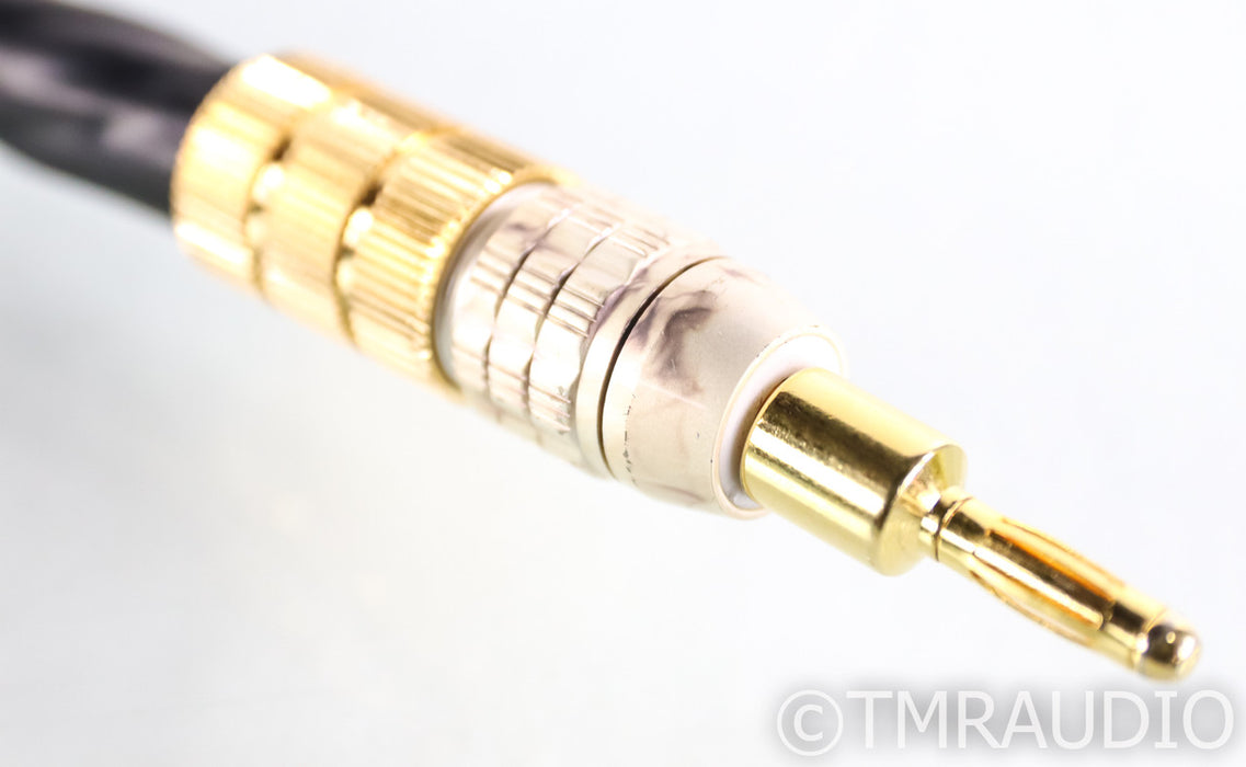 PS Audio xStream Statement Speaker Cables; 3m Pair; Spade & Banana Terminations