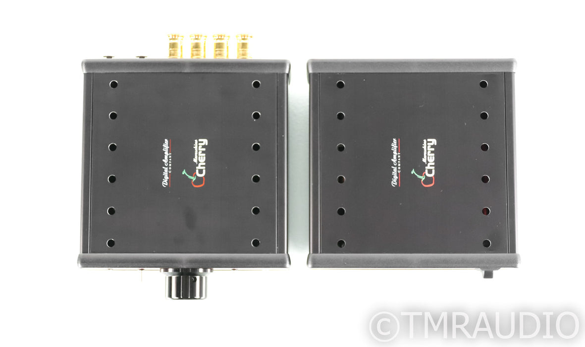 Digital Amplifier Company Maraschino STM King Stereo Integrated Amplifier