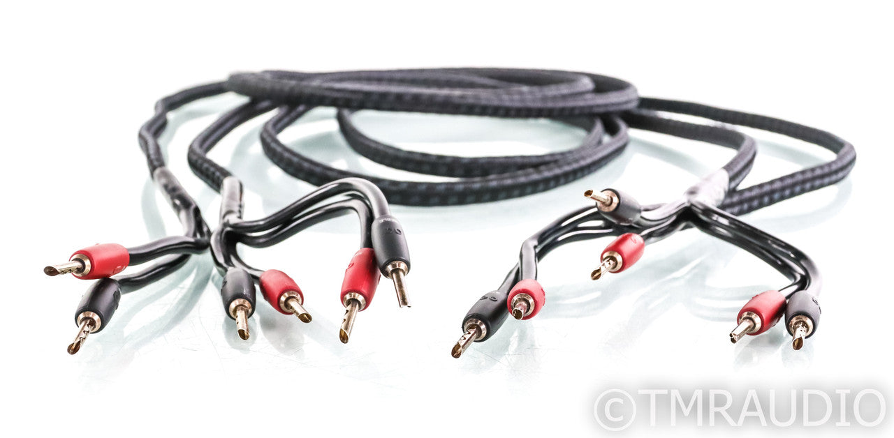 AudioQuest Rocket 33 Bi-Wire Speaker Cables; 10ft Pair