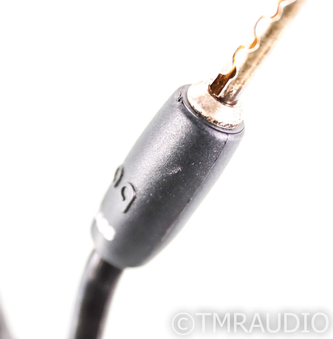 AudioQuest Rocket 33 Bi-Wire Speaker Cables; 10ft Pair