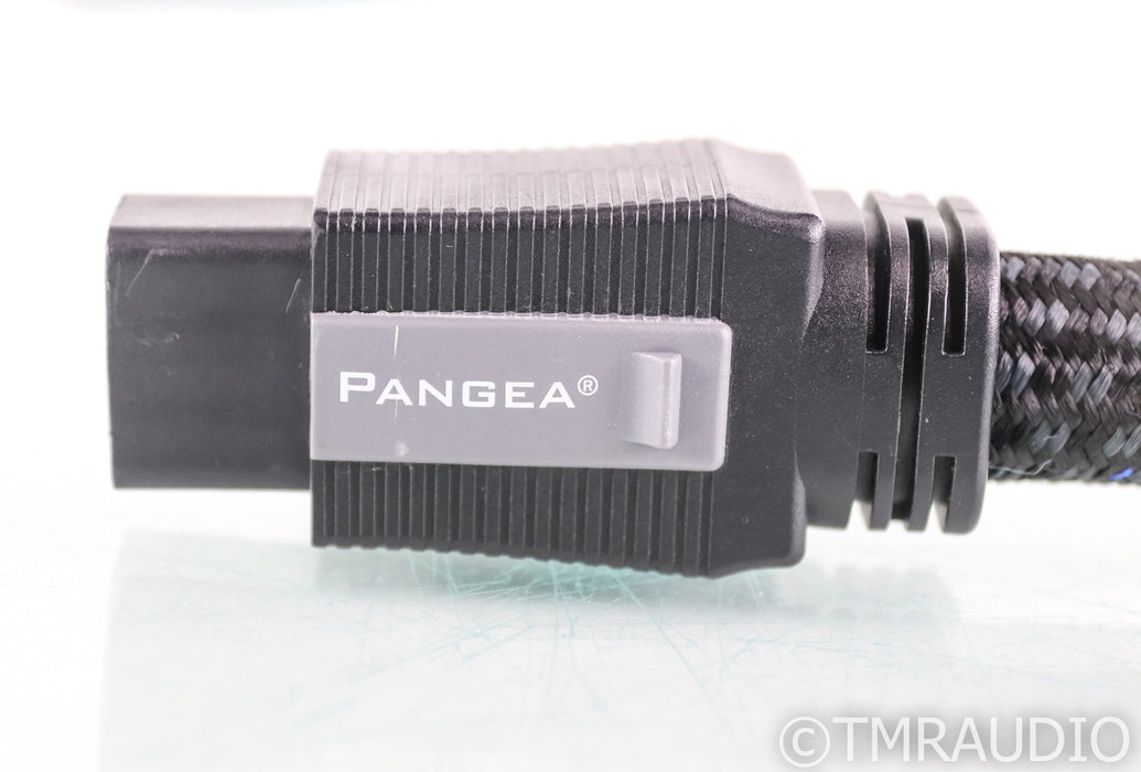 Pangea AC-9SE MKII 20 Amp Power Cable; 1m; C19