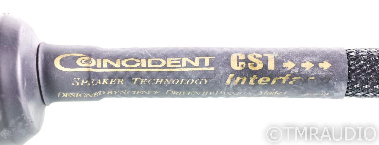 Coincident Speaker Technologies CST Interface Power Cable; 3ft AC Cord