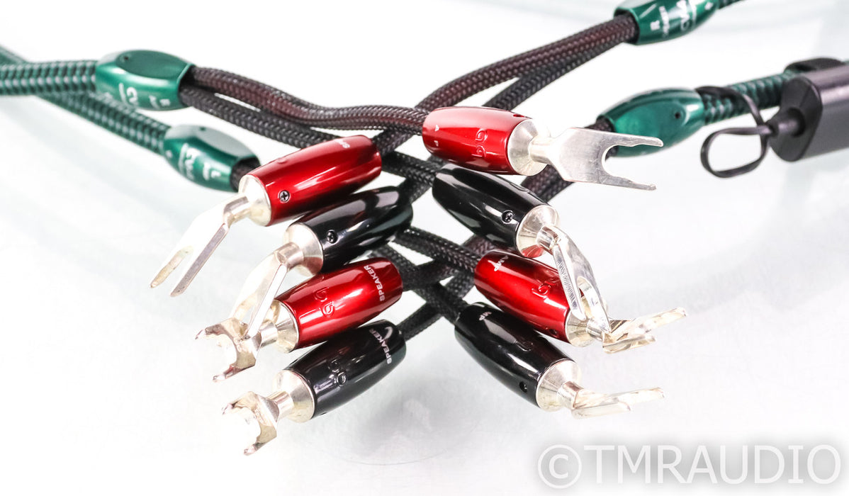 AudioQuest CV-4 Speaker Cables; 8ft Pair; 72v DBS