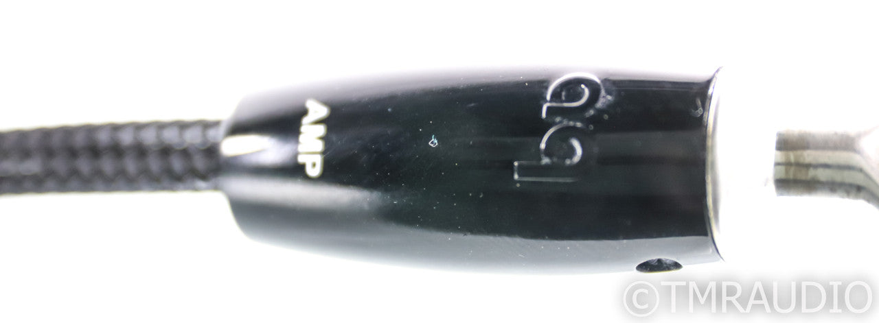 AudioQuest CV-4 Speaker Cables; 8ft Pair; 72v DBS