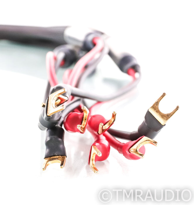 Purist Audio Musaeus Shotgun Bi-Wire Speaker Cables; Ferox; 2m Pair