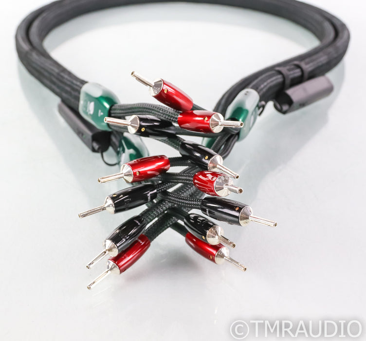 AudioQuest Aspen Bi-Wire Speaker Cables; 6ft Pair; 72v DBS
