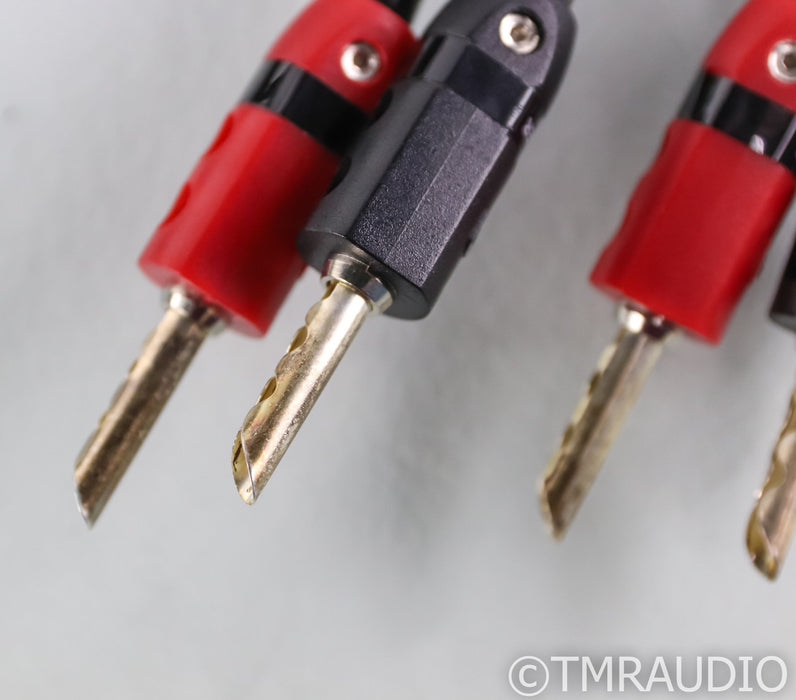 AudioQuest Rocket 33 Speaker Cables; 10ft Pair