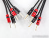 AudioQuest Type 4 Speaker Cables; 12ft Pair