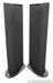GoldenEar Triton Two+ Floorstanding Speakers; Two Plus