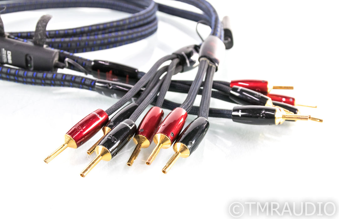 AudioQuest Gibraltar Bi-Wire Speaker Cables; 8ft Pair; 72v DBS