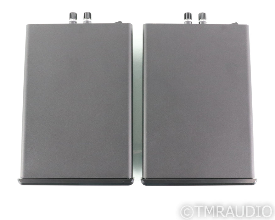 Bel Canto e.One REF600M Mono Power Amplifiers; Black Pair; REF-600M