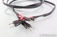AudioQuest Rocket 44 Bi-wire Speaker Cable; 3m Single