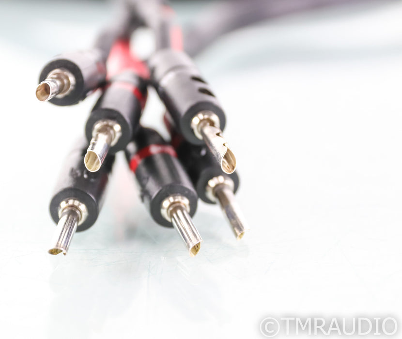 AudioQuest Rocket 44 Bi-wire Speaker Cable; 3m Single