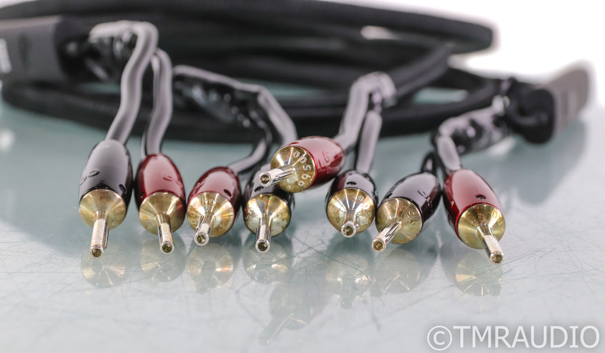 AudioQuest Rocket 88 Speaker Cables; 10ft Pair; 72v DBS
