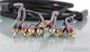 AudioQuest Rocket 88 Speaker Cables; 10ft Pair; 72v DBS