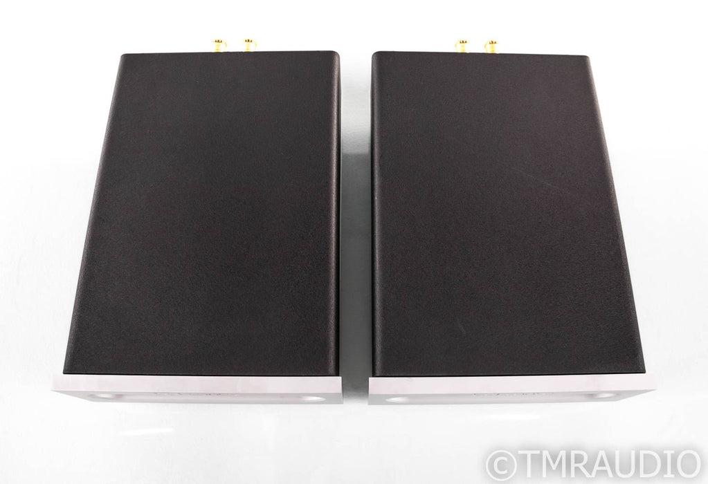 Bel Canto e.One REF500M Mono Power Amplifier