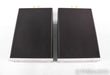 Bel Canto e.One REF500M Mono Power Amplifier