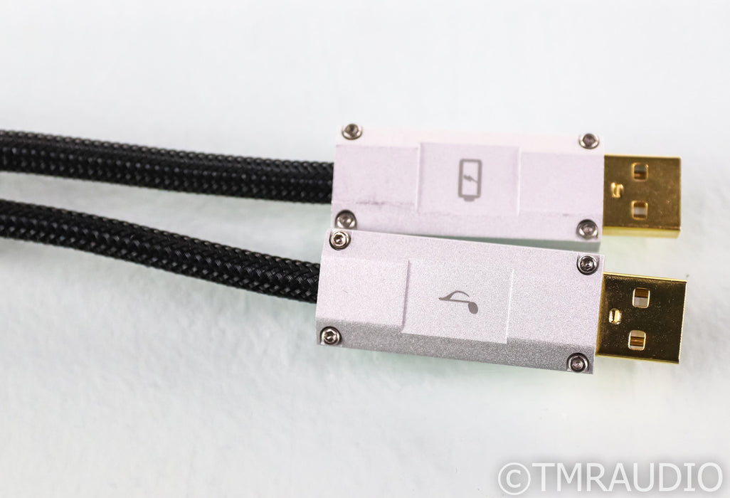 iFi Gemini Dual-Headed USB Cable; 0.7m Digital Interconnect
