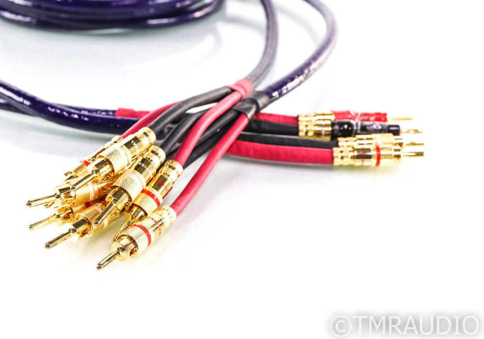 LAT International SS-1000 D Bi-Wire Speaker Cables; 12ft Pair