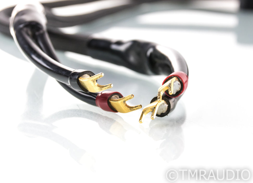 Transparent Audio MusicWave Super XL Speaker Cables; 8ft Pair