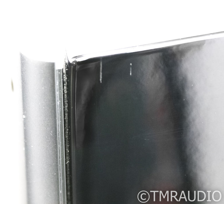 Raidho D2 Floorstanding Speakers