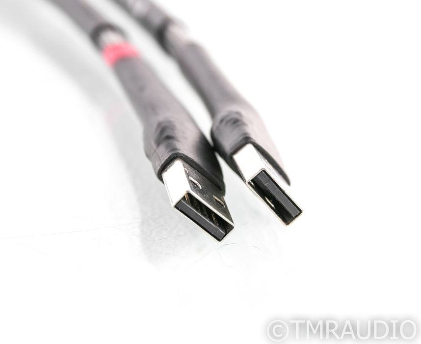 YFS REF USB Y-Split USB 2.0 Cable; 1m Digital Interconnect