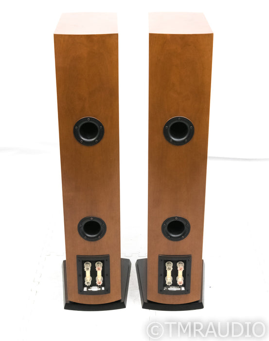 Dali Mentor 6 Floorstanding Speakers