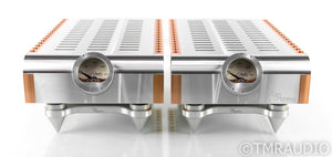 Dan D'Agostino M400 Mono Power Amplifier
