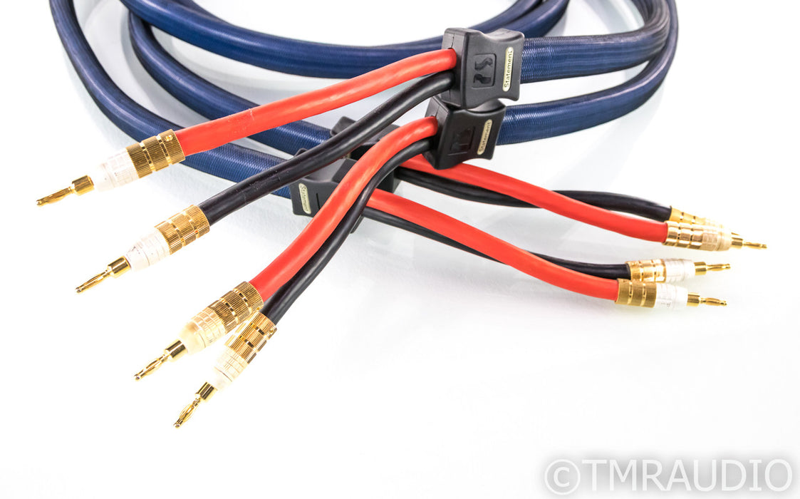 PS Audio Xstream Statement Speaker Cables; 3m Pair; Banana / Spade