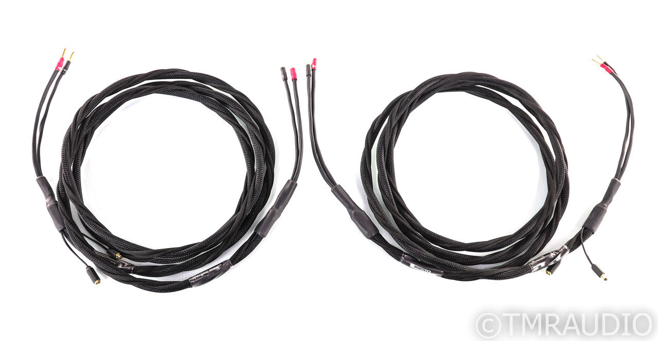 Synergistic Research Element Tungsten Speaker Cables; 12ft Pair