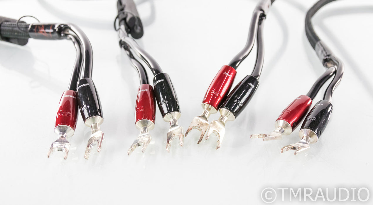 AudioQuest Rocket 88 Silver Plated Speaker Cables; 8ft Pair; 72v DBS