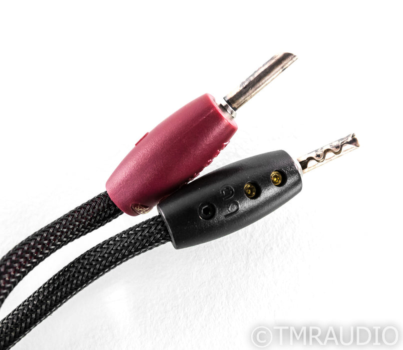 AudioQuest Type 8 Speaker Cables