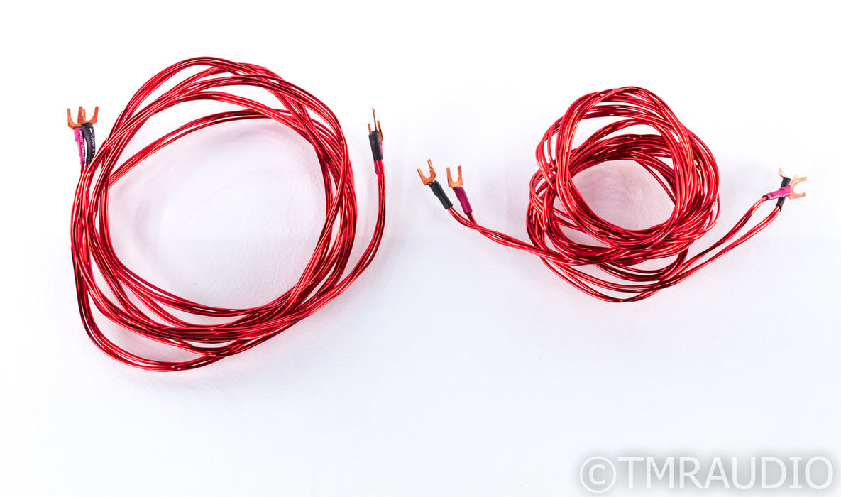 Anticables Level 3.1 Speaker Cables; 10ft Pair
