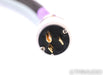 Revelation Audio Labs Precept II CryoSilver Reference Power Cable; 4ft AC Cord