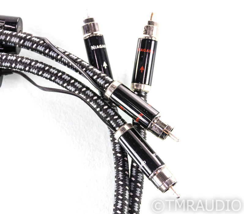 Audioquest Niagara RCA Cables; 1m Pair Interconnects; 72v DBS (1/1)