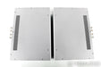 PS Audio M700 Mono Power Amplifier