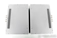 PS Audio M700 Mono Power Amplifier