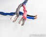Kimber Kable 4TC Speaker Cable; Single; 11ft