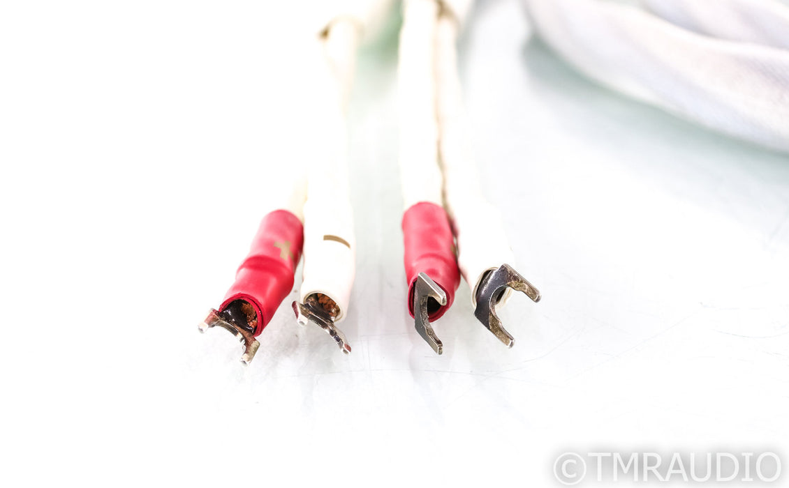 Synergistic Research Resolution Reference X Series Speaker Cables; 12ft Pair