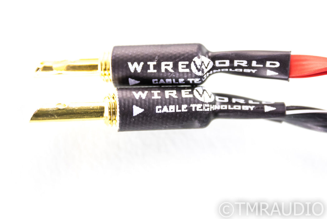Wireworld Luna 8 Bi-Wire Speaker Cables