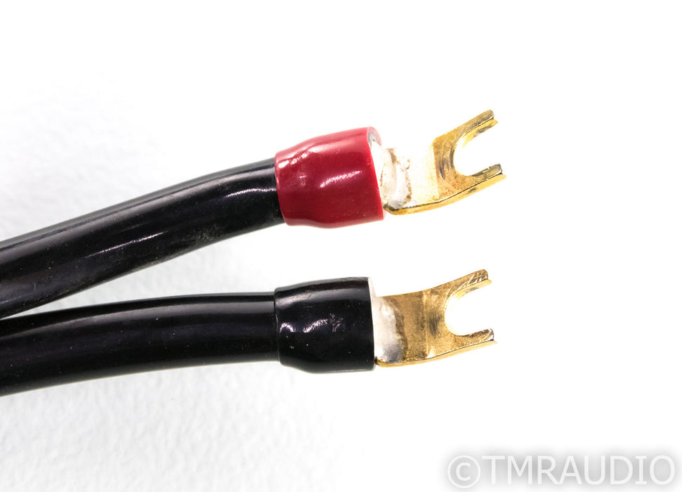 Transparent Audio MusicWave Super XL Speaker Cables; 8ft Pair