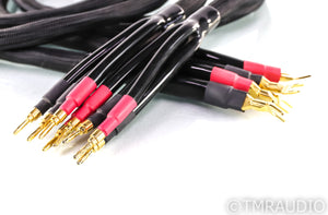Tara Labs RSC Reference BiWire Speaker Cables; 12ft Pair